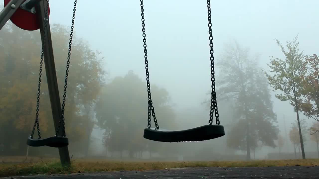 pexels-videos-1779202