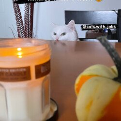 013b06f2-5084-4abe-9329-96c0549590bd